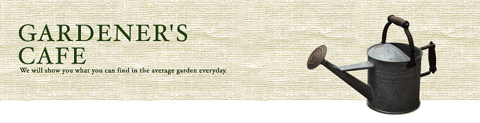 GARDENER'S CAFE